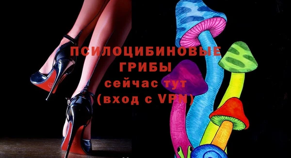 дмт Пересвет