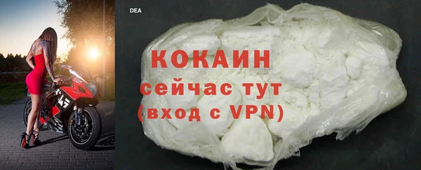 дмт Пересвет
