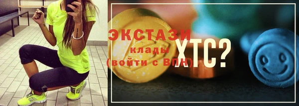 дмт Пересвет