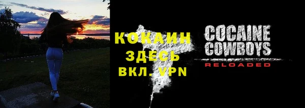 стаф Болхов