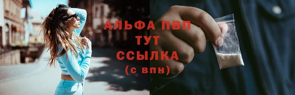 крисы Дмитров