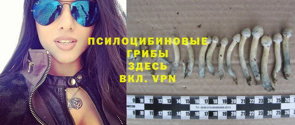 каннабис Осташков
