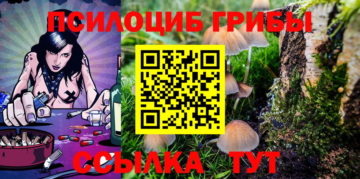где можно купить наркотик  Псилоцибиновые грибы Psilocybe  Вход с VPN  Энгельс 